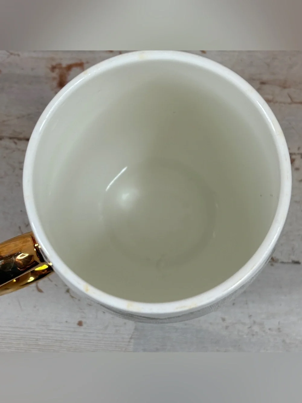 Pier 1 Imports Koala Bear Book Club Coffee Mug Fine China Gold Handle 20 fl oz